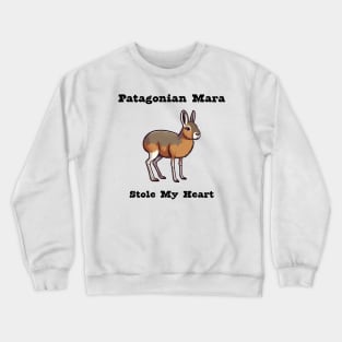 Patagonian Mara Crewneck Sweatshirt